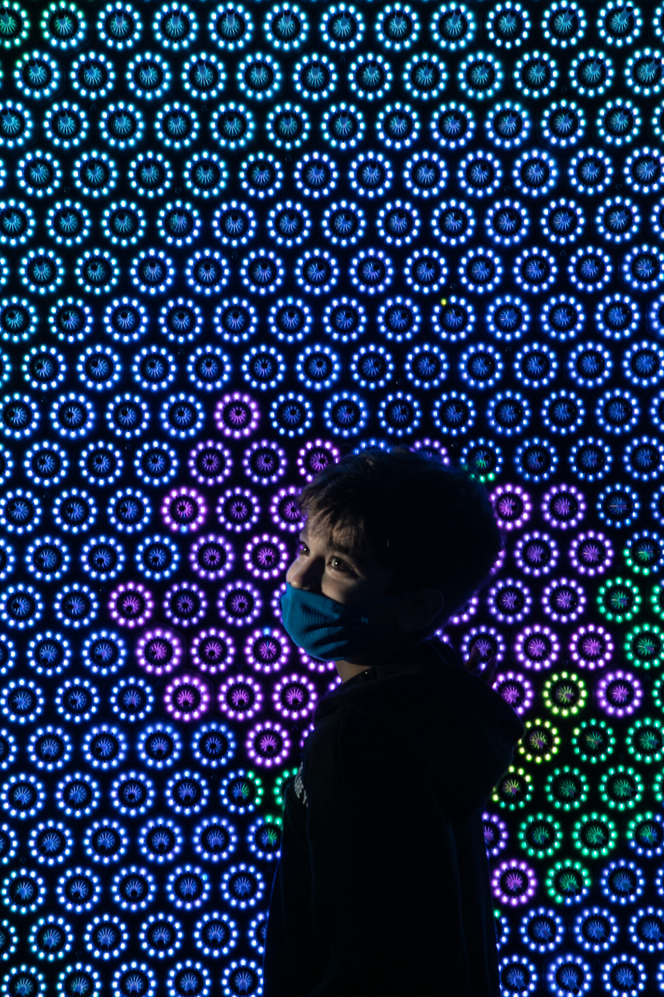 Robin Baumgarten – Quantum Jungle | FILE FESTIVAL